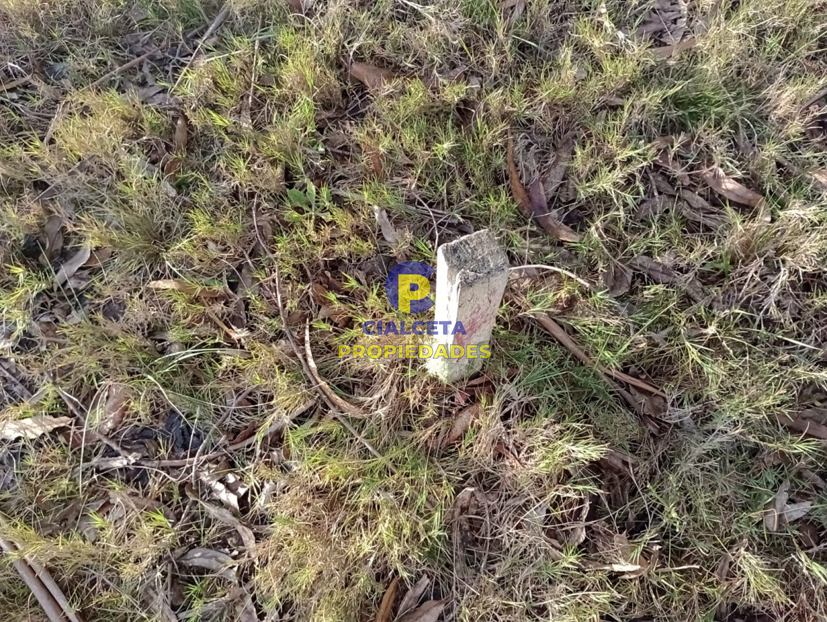 Terreno ID.238 - Terreno en San Sebastian