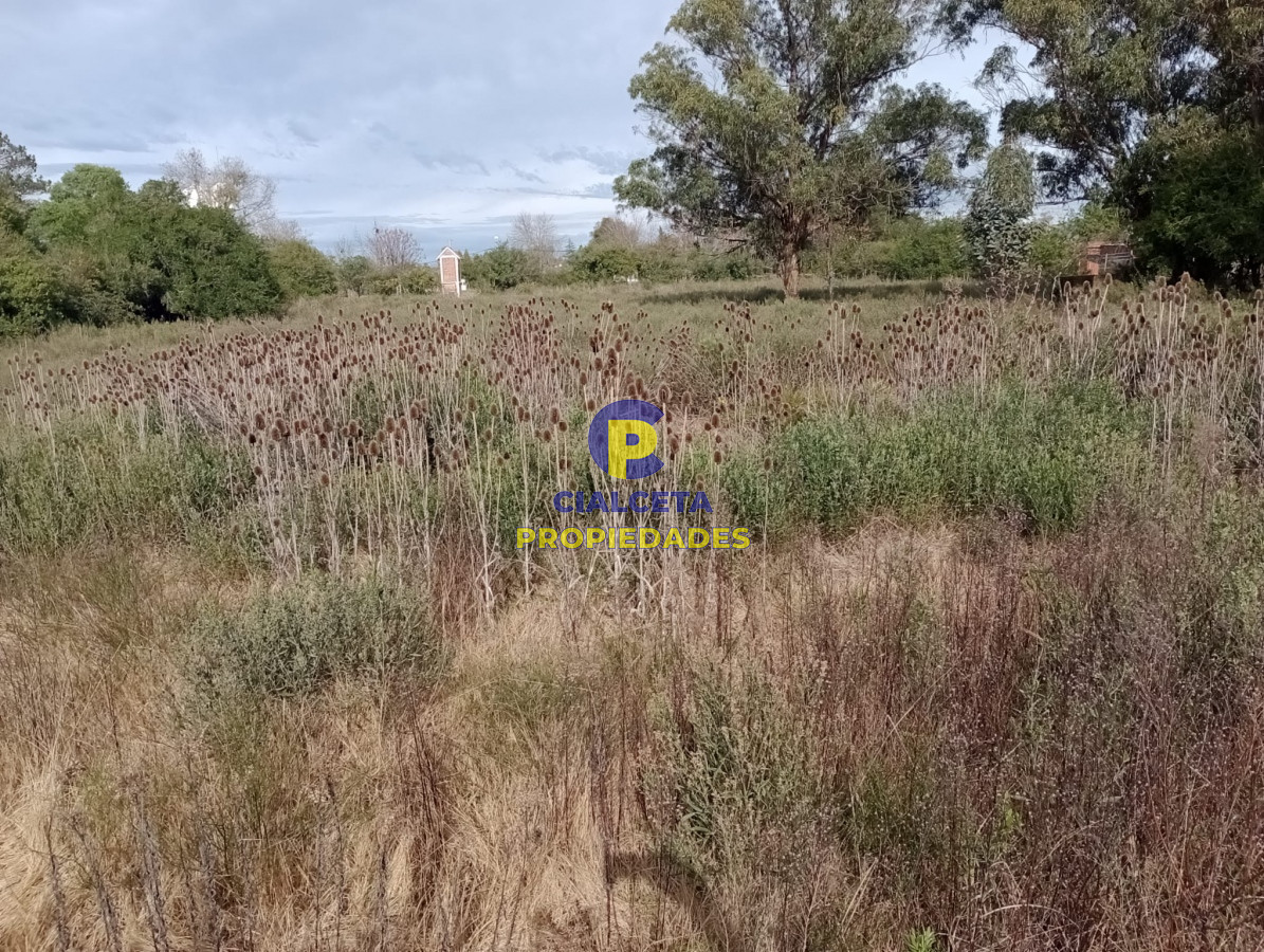 Terreno ID.297 - Terreno en Pueblo Edén