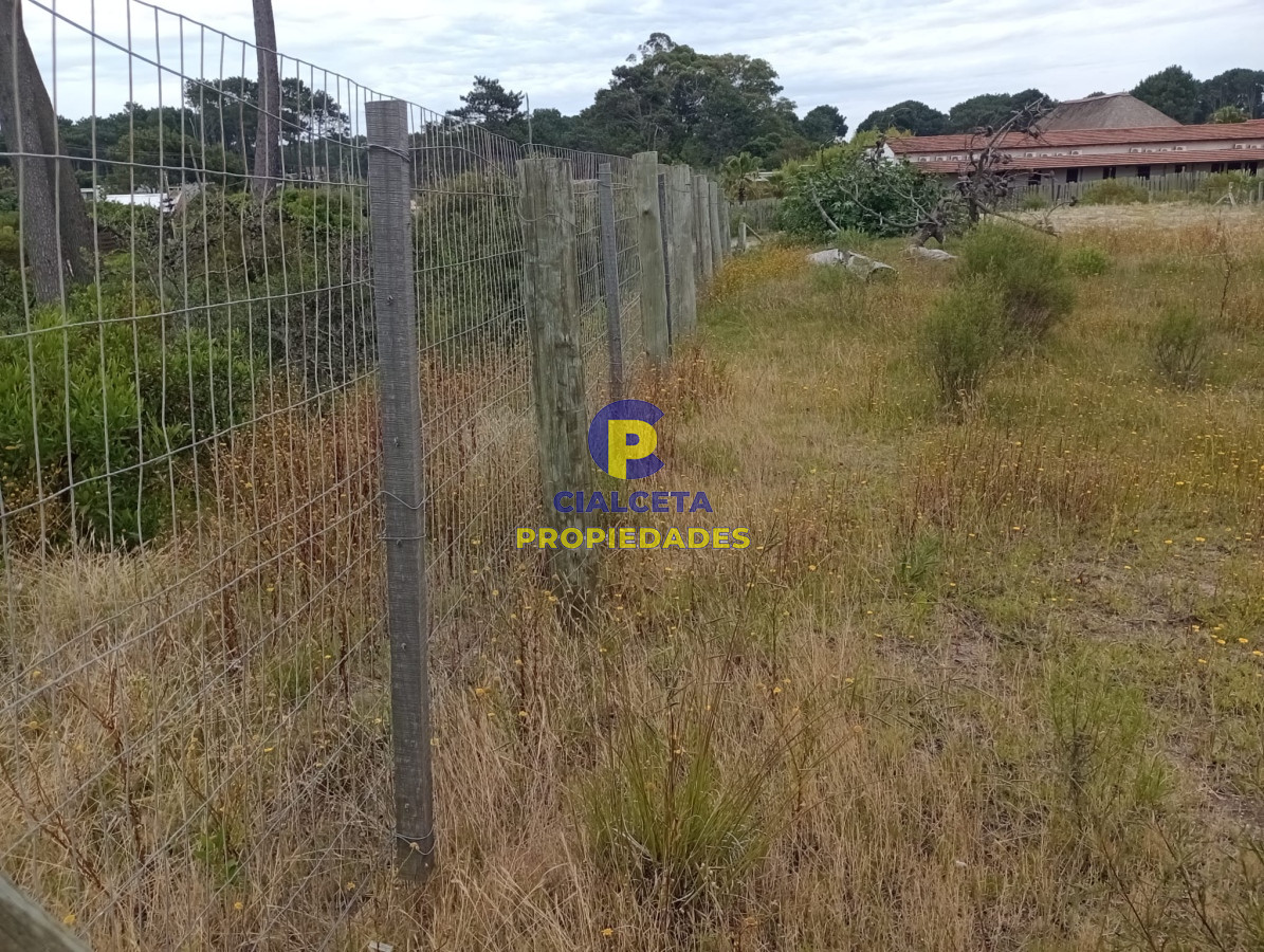 Terreno ID.365 - Terreno en Chihuahua