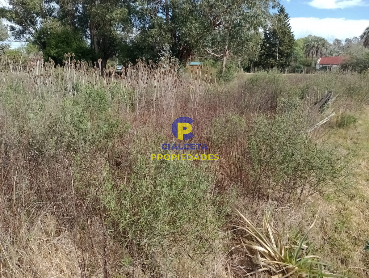 Terreno ID.297 - Terreno en Pueblo Edén