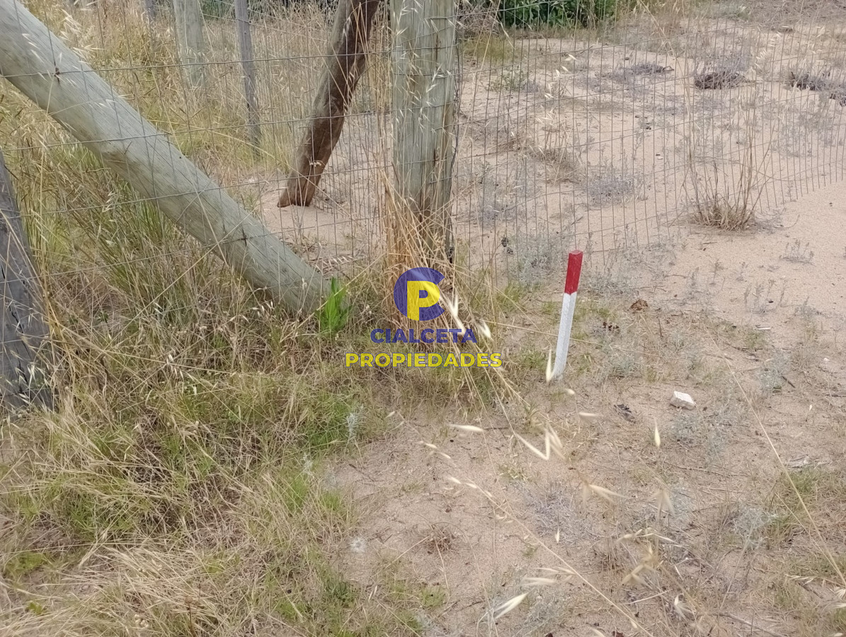 Terreno ID.365 - Terreno en Chihuahua