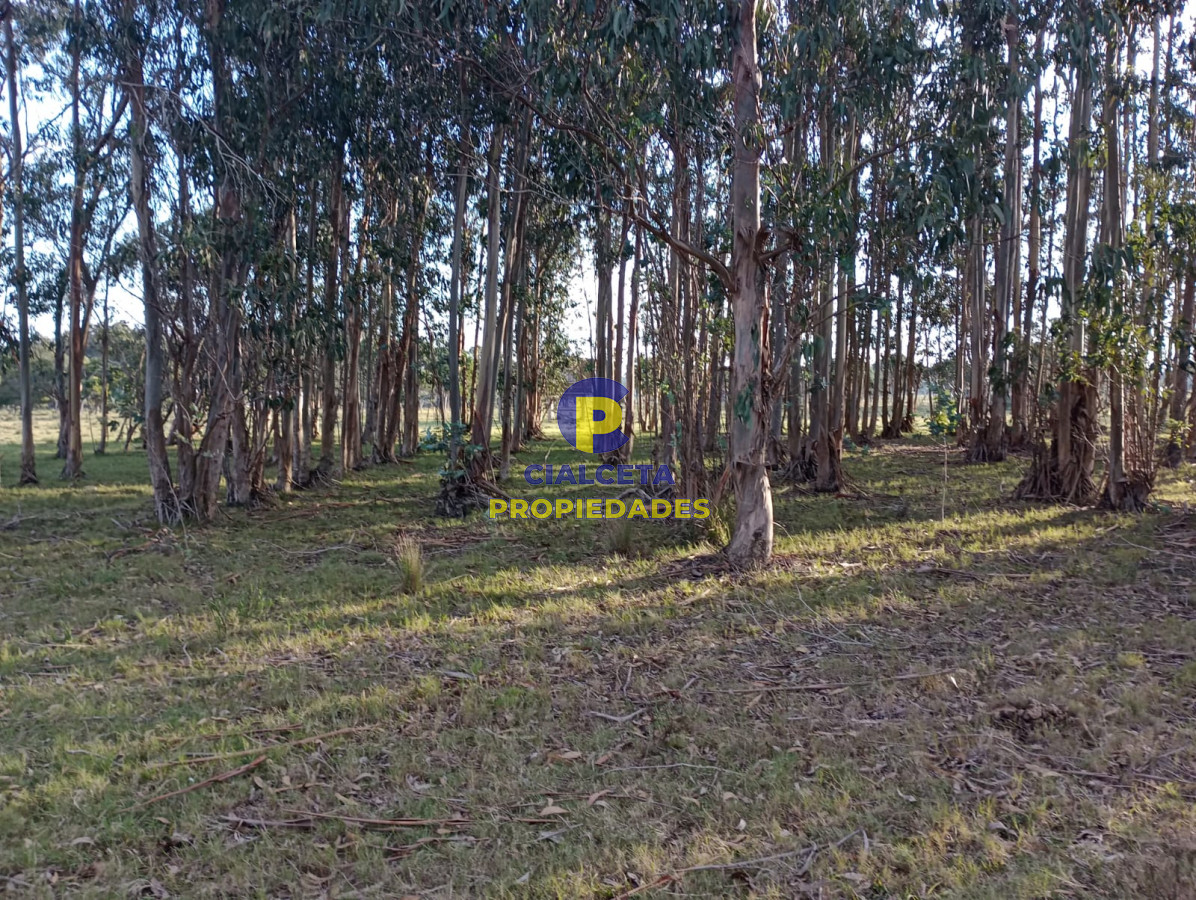 Terreno ID.238 - Terreno en San Sebastian