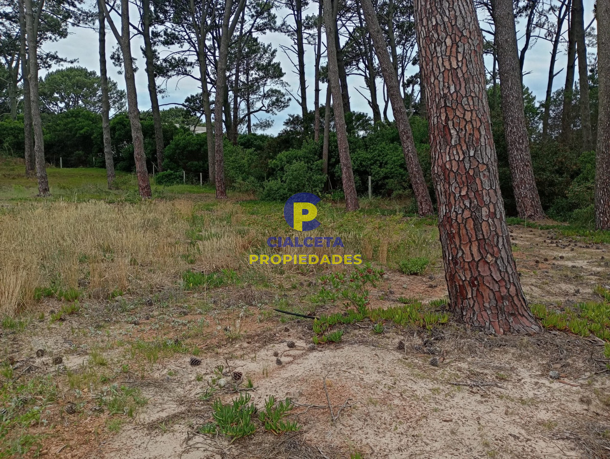 Terreno ID.366 - Terreno a la venta en Club del Lago