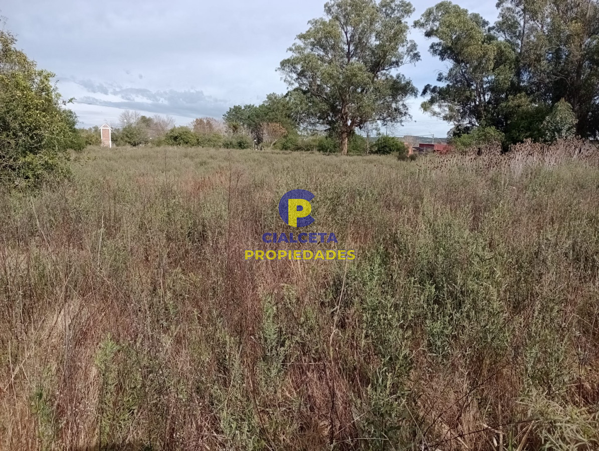 Terreno ID.297 - Terreno en Pueblo Edén