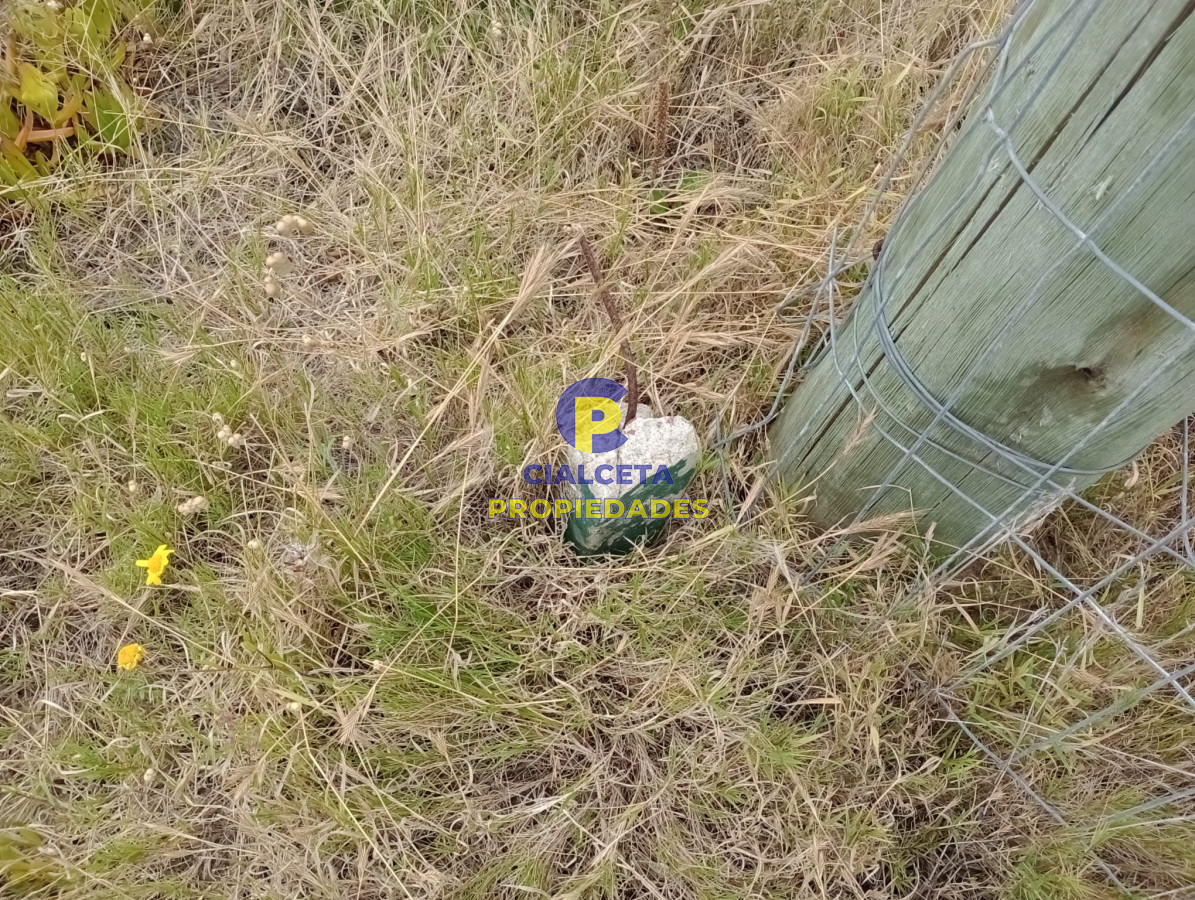 Terreno ID.365 - Terreno en Chihuahua