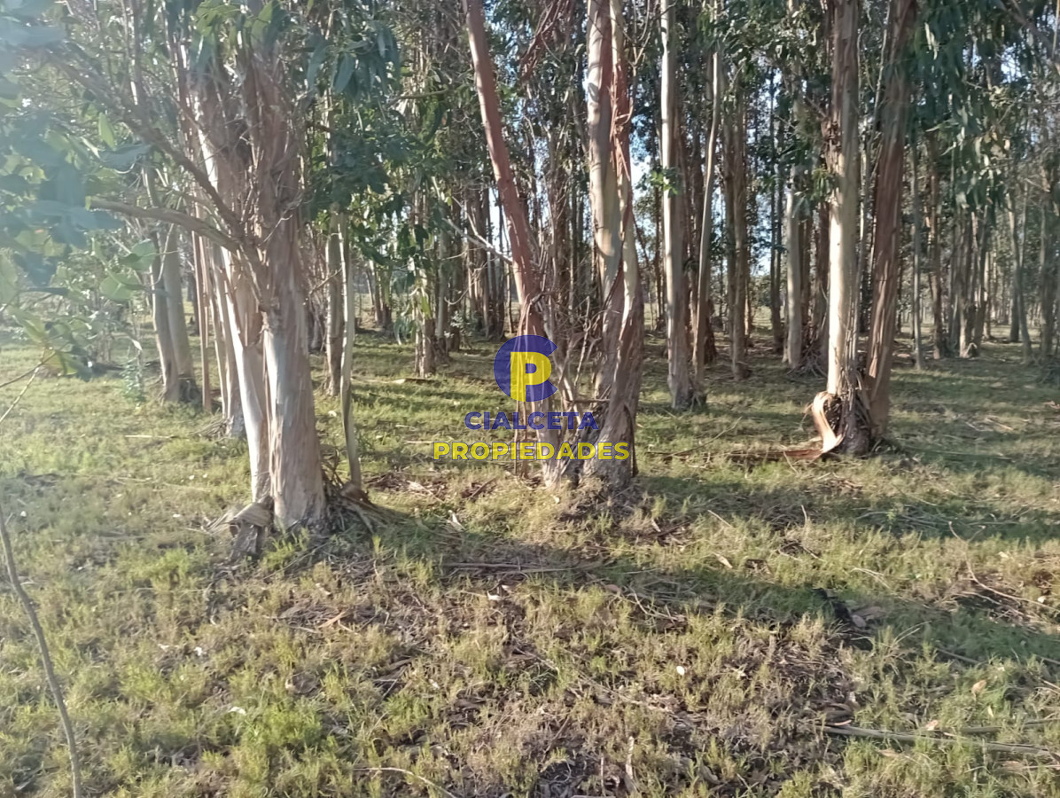 Terreno ID.238 - Terreno en San Sebastian
