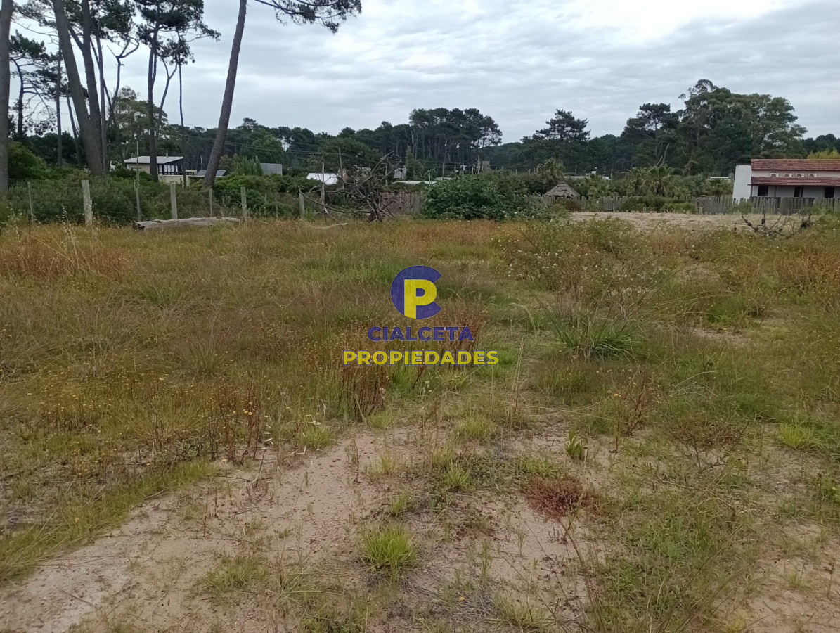 Terreno ID.365 - Terreno en Chihuahua