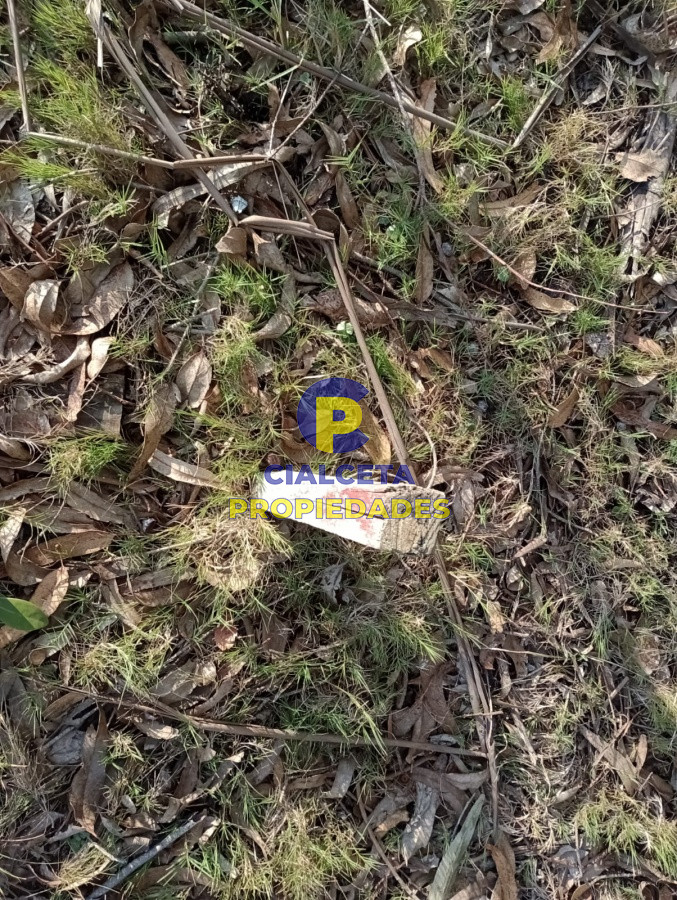 Terreno ID.238 - Terreno en San Sebastian