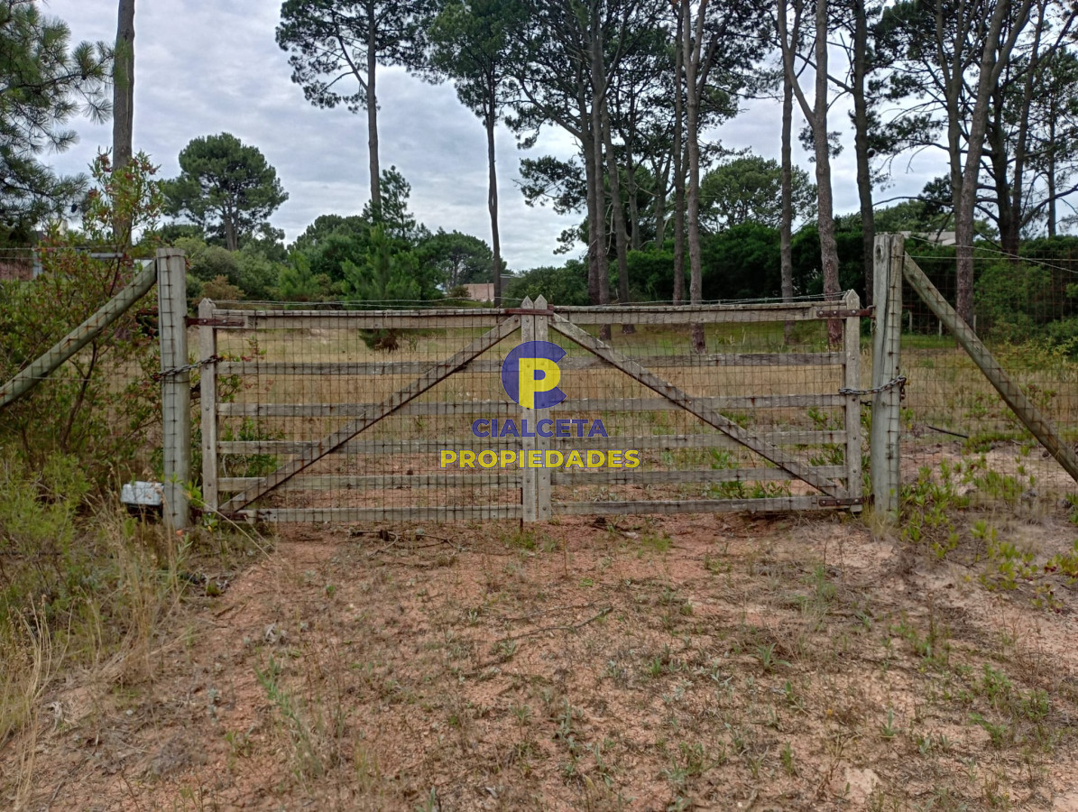 Club del Lago - GoPunta - Portal Inmobiliario de Punta del Este - Maldonado