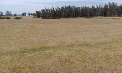 Terreno en barrio El Quijote