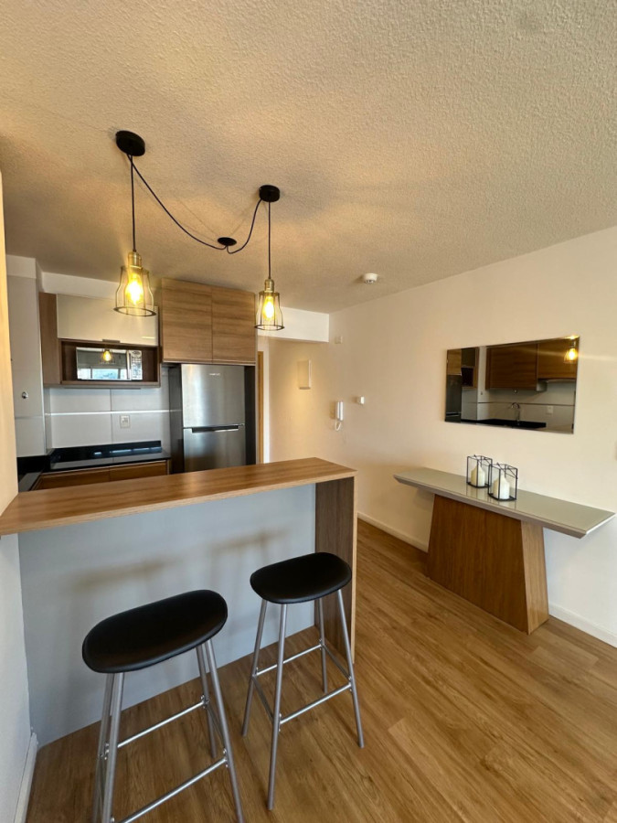 Apartamento ID.426 - Hermoso apartamento amueblado en alquiler 1dorm y gge Pocitos