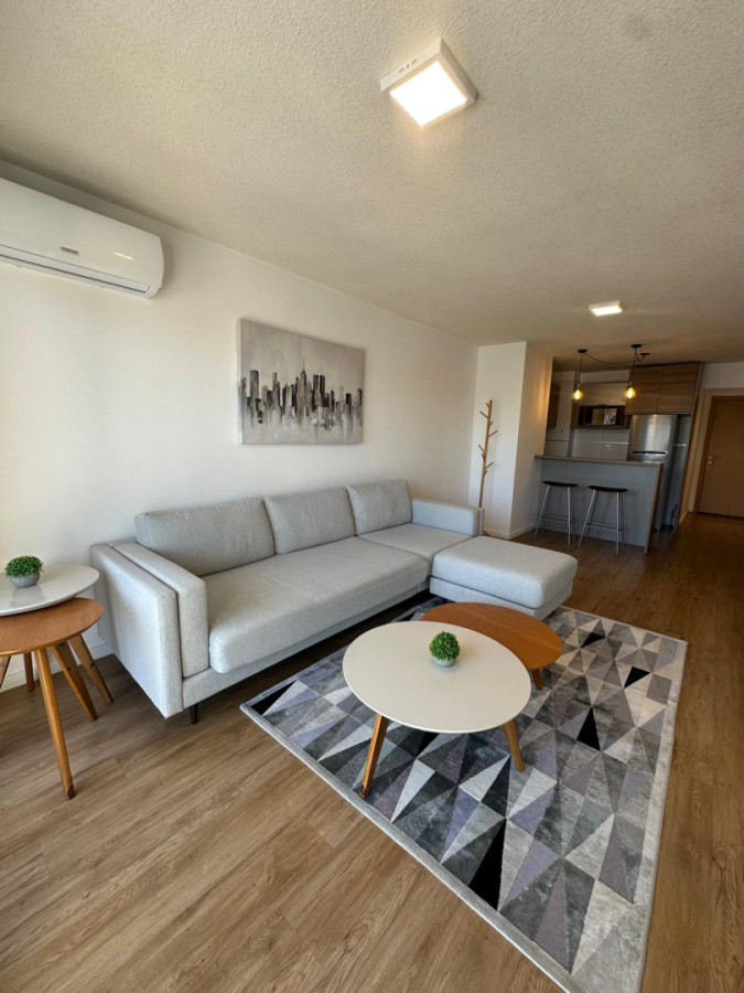 Apartamento ID.426 - Hermoso apartamento amueblado en alquiler 1dorm y gge Pocitos