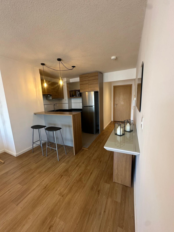 Apartamento ID.426 - Hermoso apartamento amueblado en alquiler 1dorm y gge Pocitos