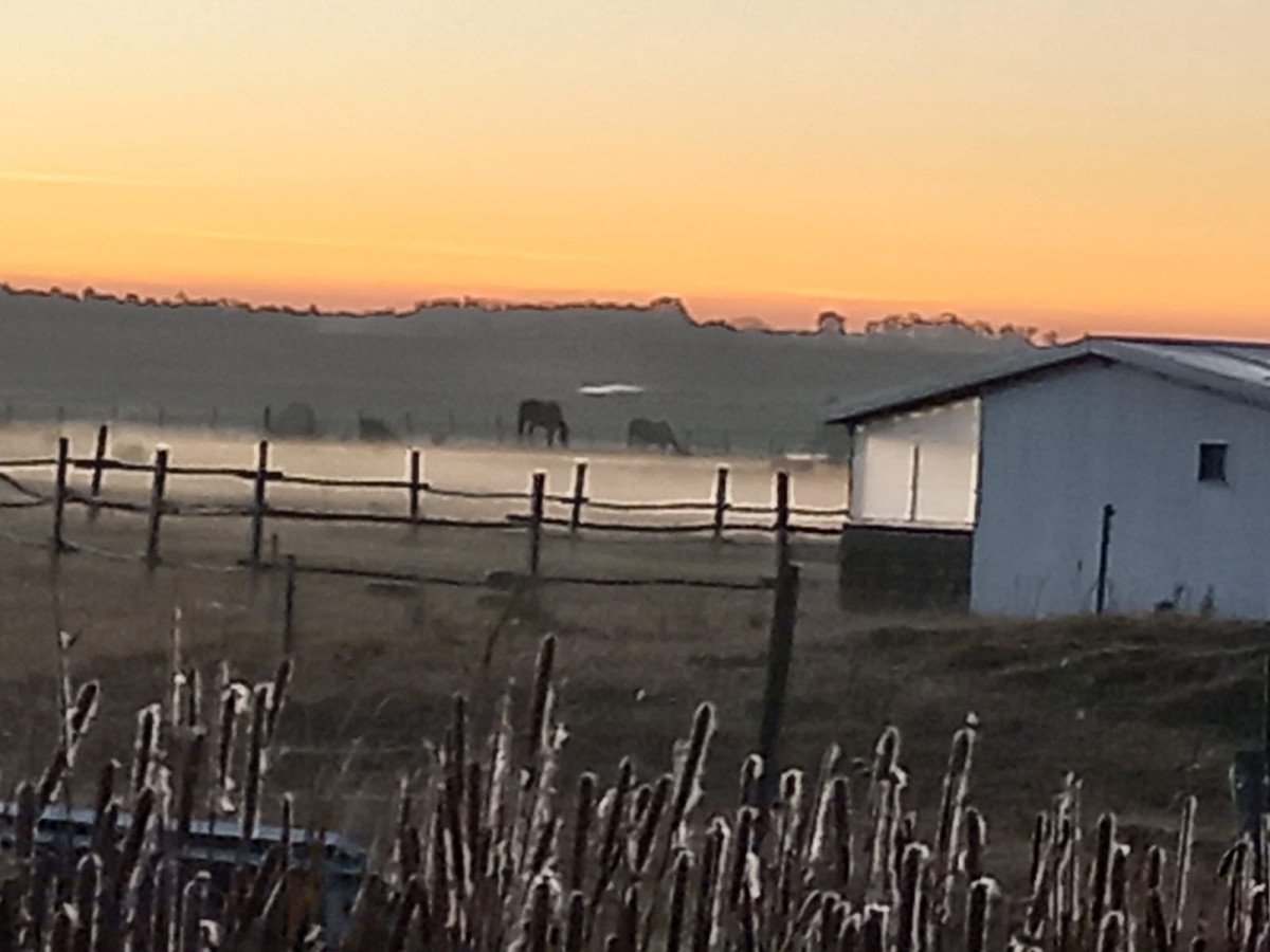 VENTA DE CHACRA MARÍTIMA DE 3 HÁS. CON 2 CASAS EN BALNEARIO CUCHILLA ALTA