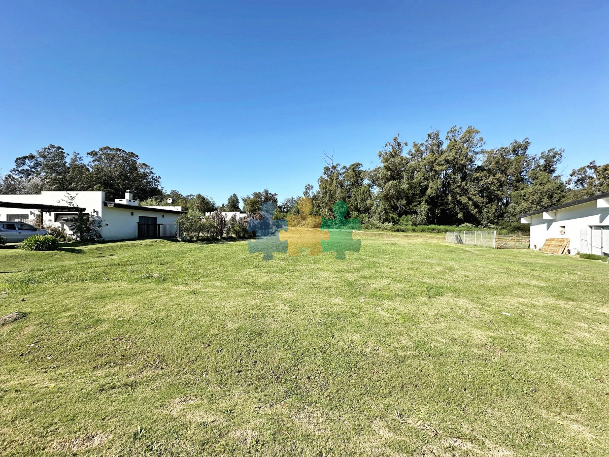 Punta Ballena - GoPunta - Portal Inmobiliario de Punta del Este - Maldonado