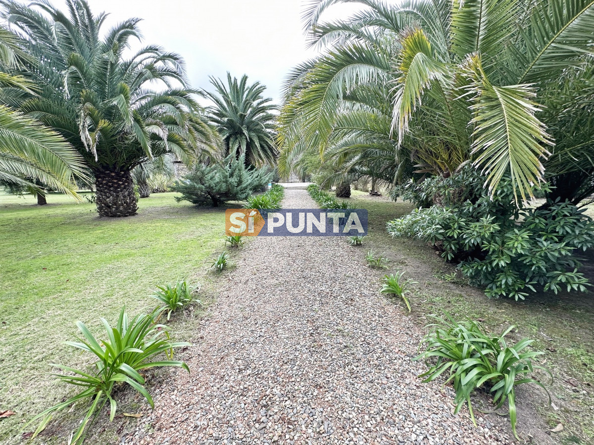 La Pataia - GoPunta - Portal Inmobiliario de Punta del Este - Maldonado