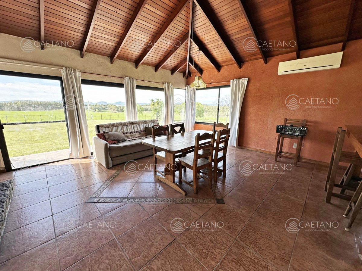 Campo olivar sobre la Ruta 8 de Minas - GoPunta - Portal Inmobiliario de Punta del Este - Maldonado