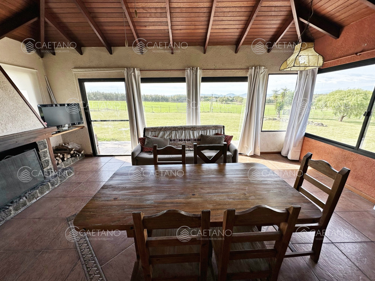 Campo olivar sobre la Ruta 8 de Minas - GoPunta - Portal Inmobiliario de Punta del Este - Maldonado