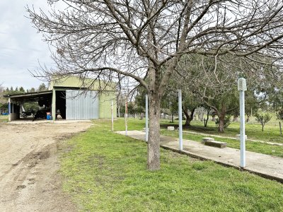 campo olivar sobre la ruta 8 de minas - dmc11847p