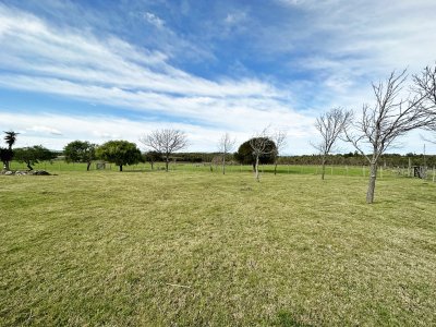 campo olivar sobre la ruta 8 de minas - dmc11847p