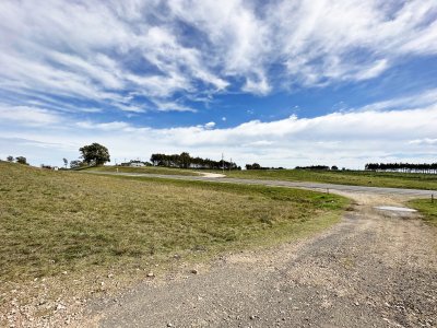 campo olivar sobre la ruta 8 de minas - dmc11847p