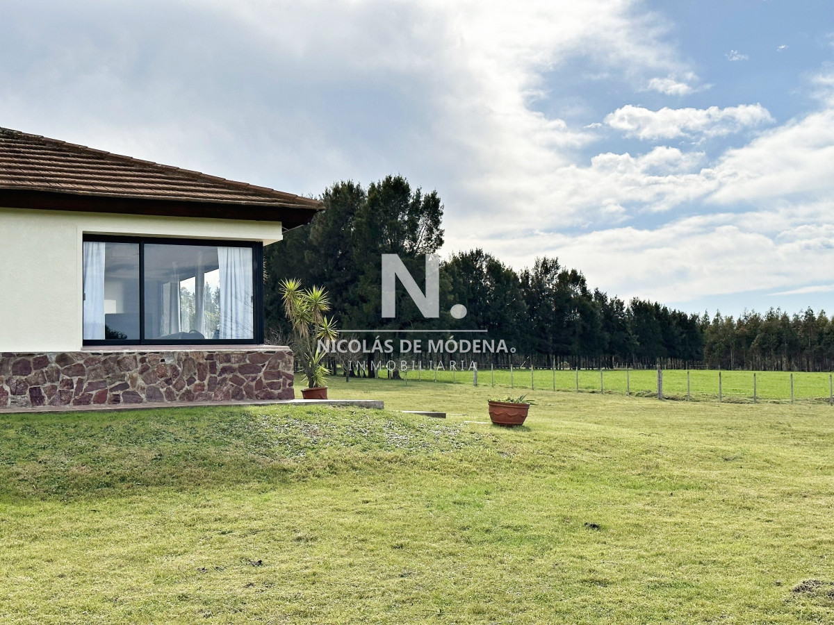 Campo olivar sobre la Ruta 8 de Minas - GoPunta - Portal Inmobiliario de Punta del Este - Maldonado
