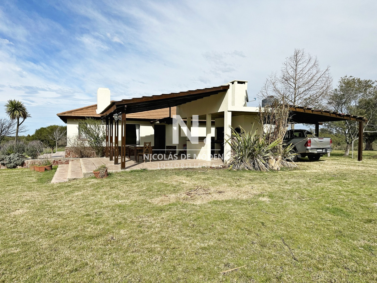 Campo olivar sobre la Ruta 8 de Minas - GoPunta - Portal Inmobiliario de Punta del Este - Maldonado