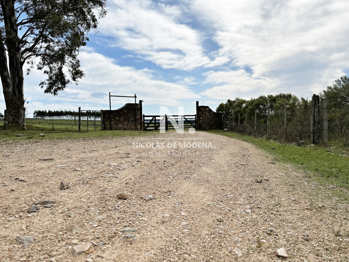 Campo