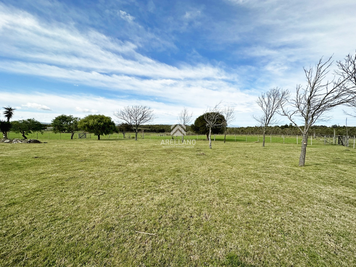 Campo Ref.4993 - Olivar sobre la Ruta 8 de Minas