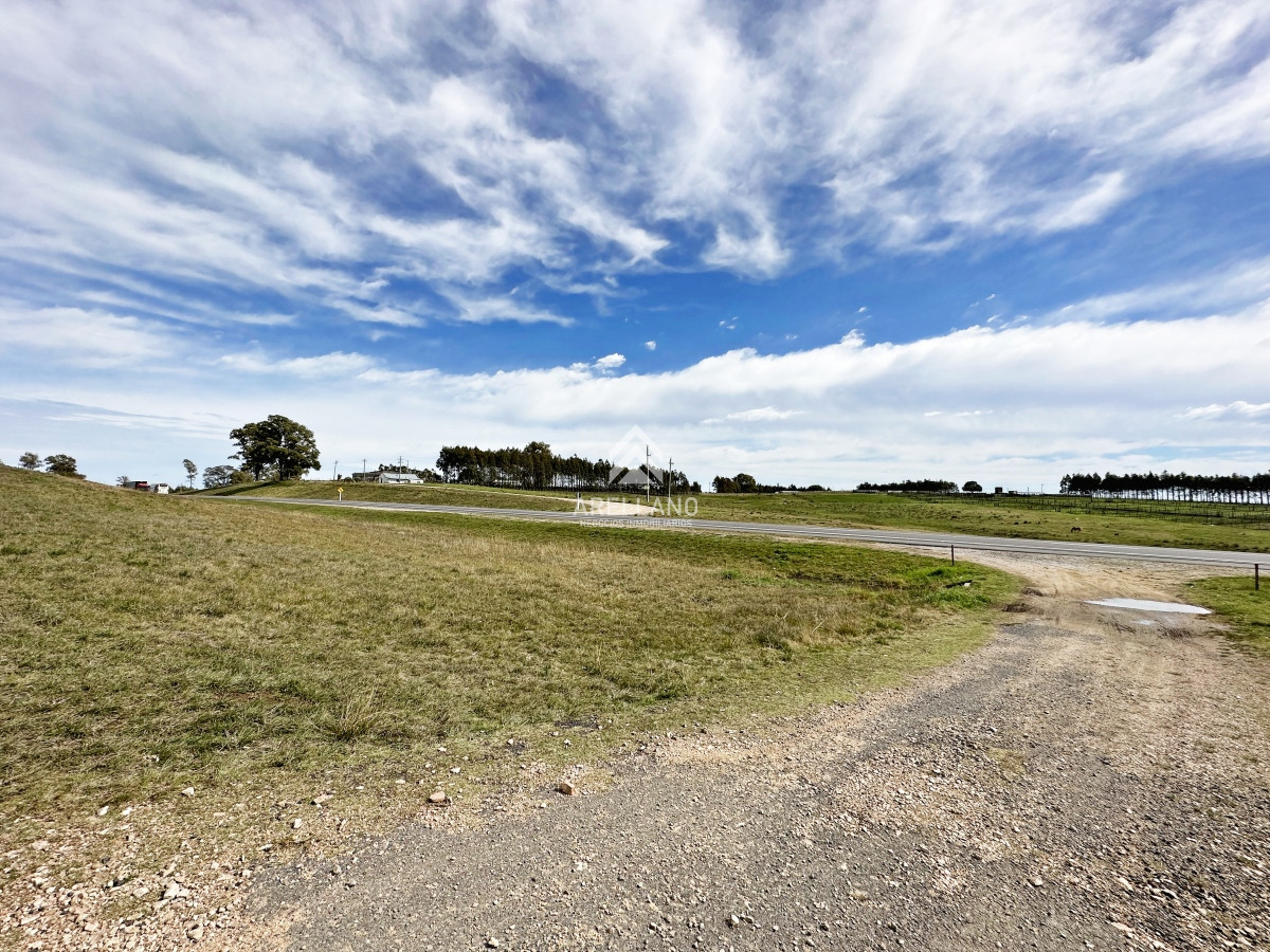 Campo Ref.4993 - Olivar sobre la Ruta 8 de Minas