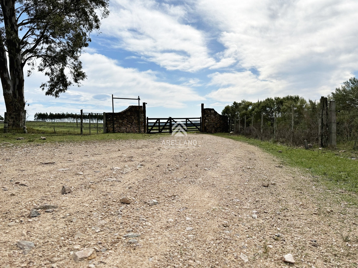 Campo Ref.4993 - Olivar sobre la Ruta 8 de Minas