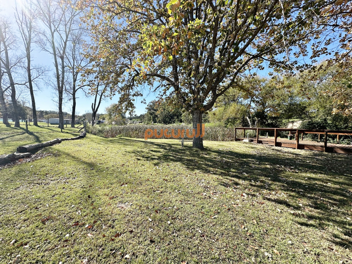 Punta Ballena - GoPunta - Portal Inmobiliario de Punta del Este - Maldonado
