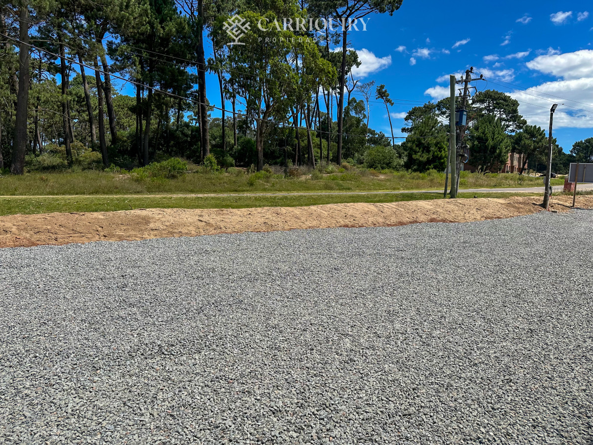 Local Comercial ID.8712/Locales-en-Alquiler--Carriquiry--Propiedades - A estrenar local en Av en Maldonado con 660 m2 de uso exclusivo