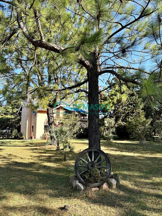 Chacra ID.946 - 6 has chacra a minutos de Punta del Este