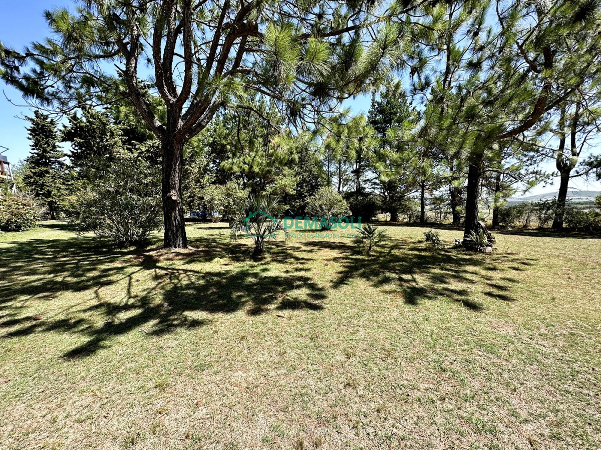 Chacra ID.946 - 6 has chacra a minutos de Punta del Este
