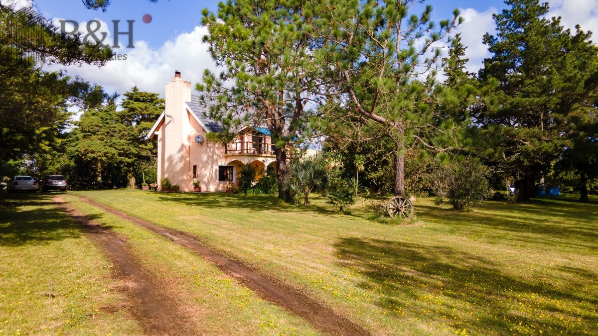 Ruta 39 - GoPunta - Portal Inmobiliario de Punta del Este - Maldonado