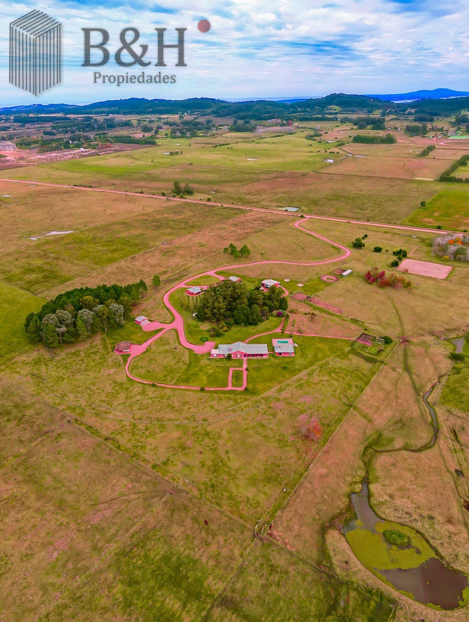 La Pataia - GoPunta - Portal Inmobiliario de Punta del Este - Maldonado