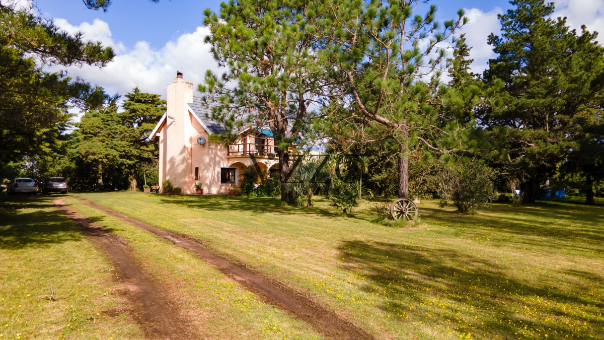 Chacra ID.589/Chacra-a-minutos-de-Punta-del-Este - Chacra a minutos de Punta del Este