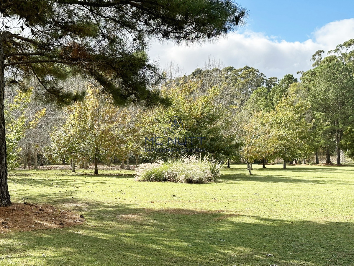 Chacra ID.601/ - Hermosa chacra muy cerca de todo para disfrutar hoy! 