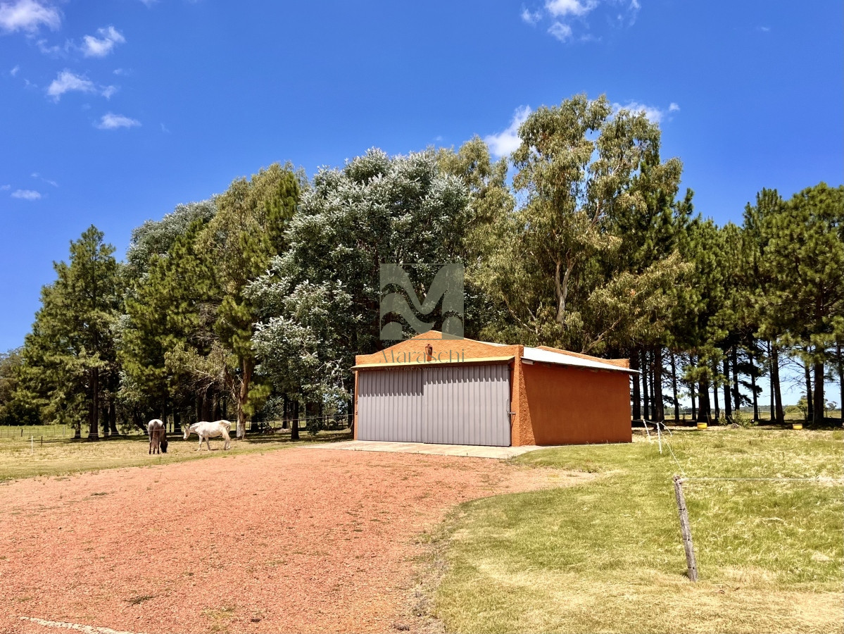 Chacra ID.410 - Hermosa chacra a minutos de Punta del Este