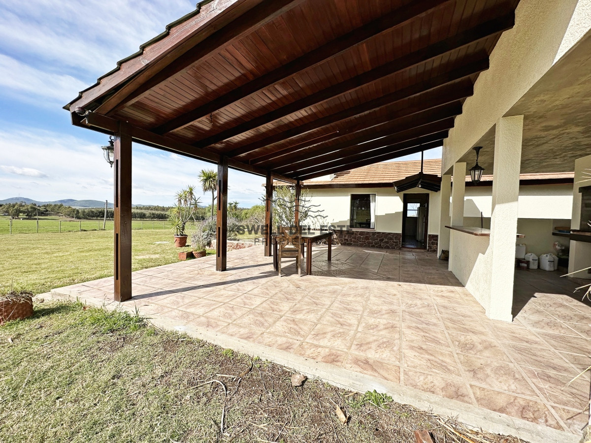 Campo Ref.43 - Olivar sobre la Ruta 8 de Minas