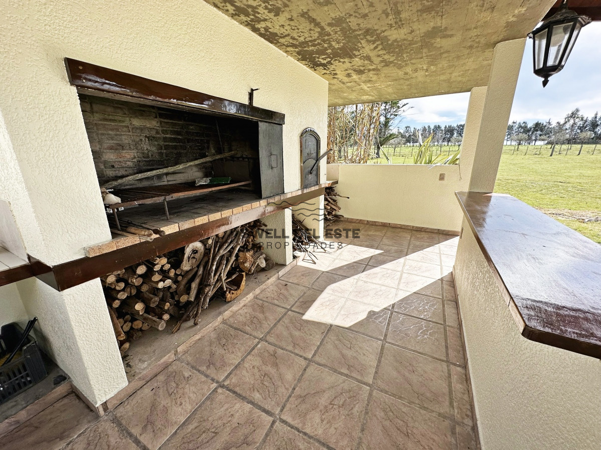 Campo Ref.43 - Olivar sobre la Ruta 8 de Minas