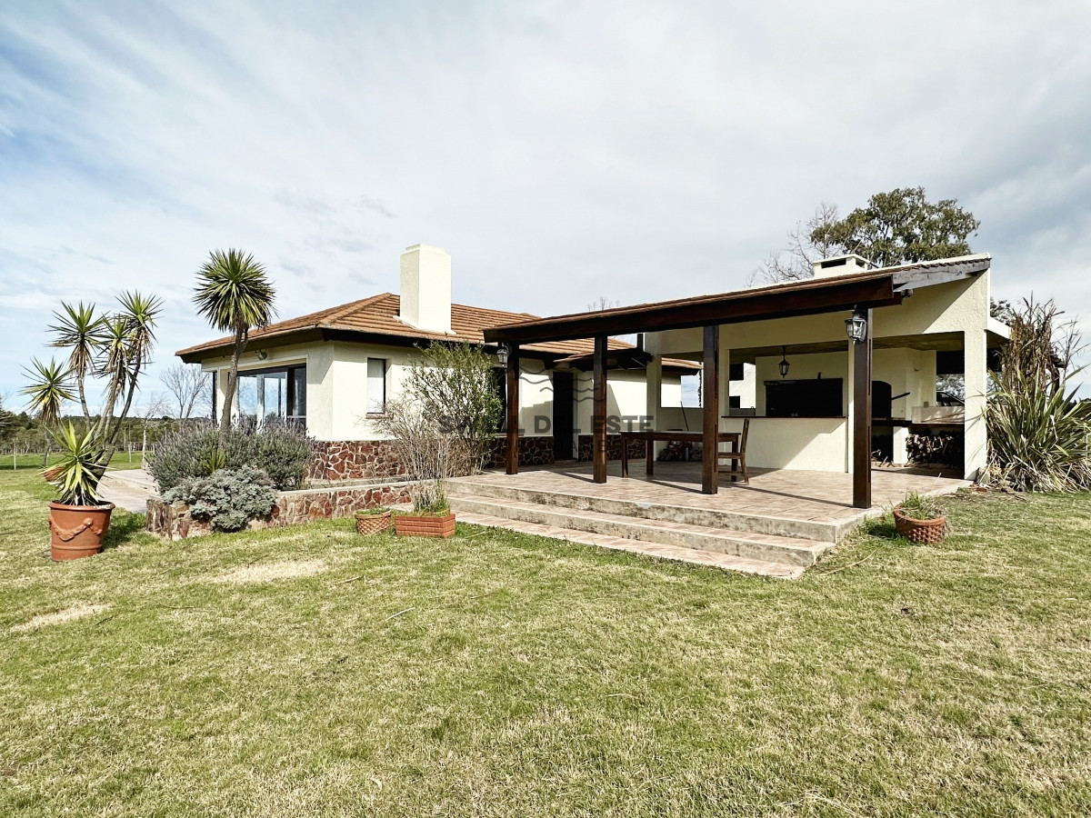 Campo Ref.43 - Olivar sobre la Ruta 8 de Minas