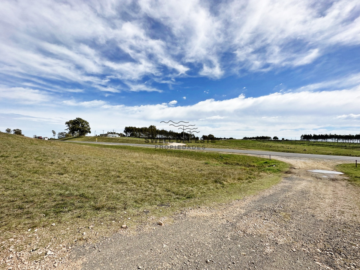 Campo Ref.43 - Olivar sobre la Ruta 8 de Minas