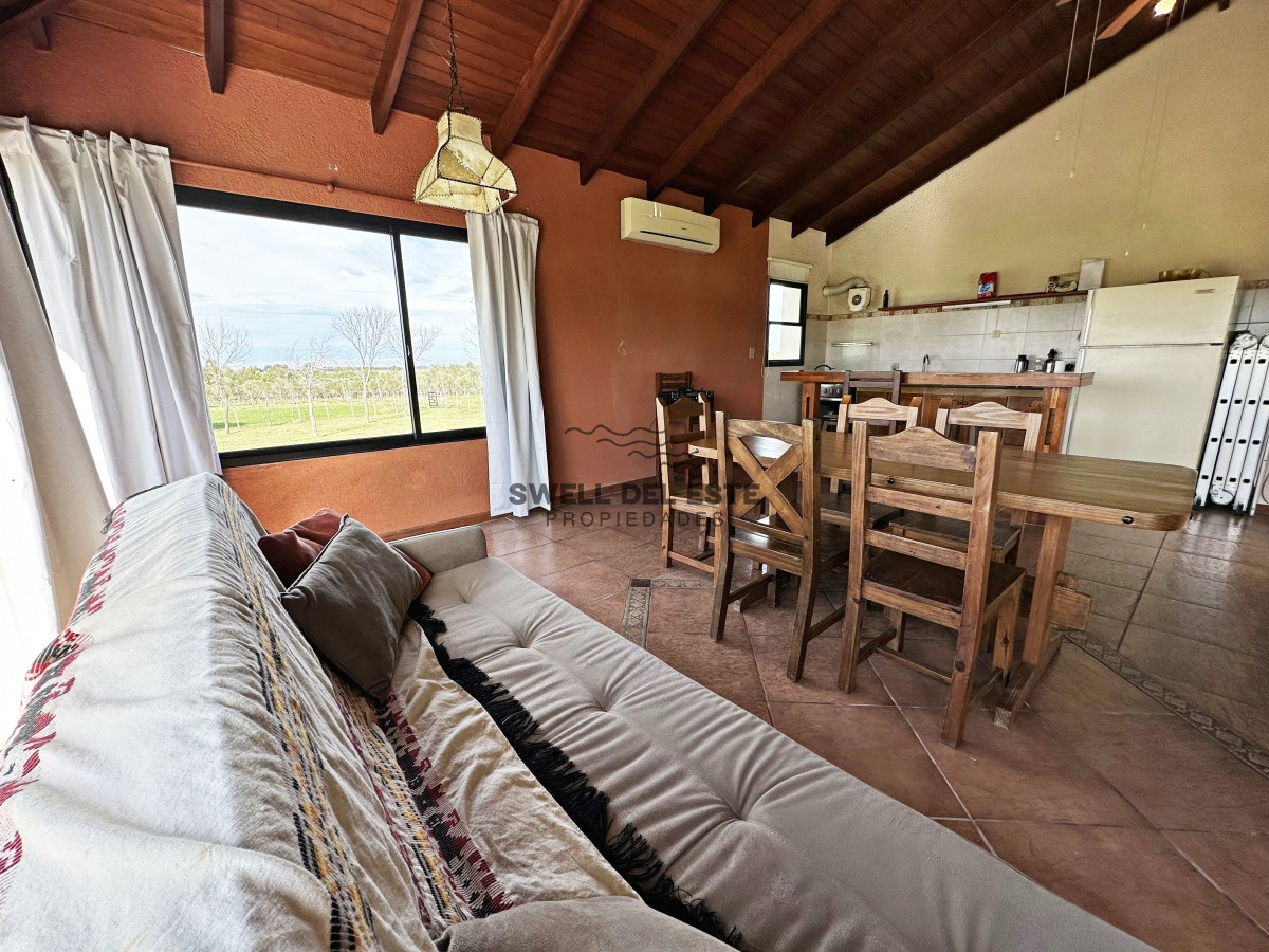 Campo Ref.43 - Olivar sobre la Ruta 8 de Minas