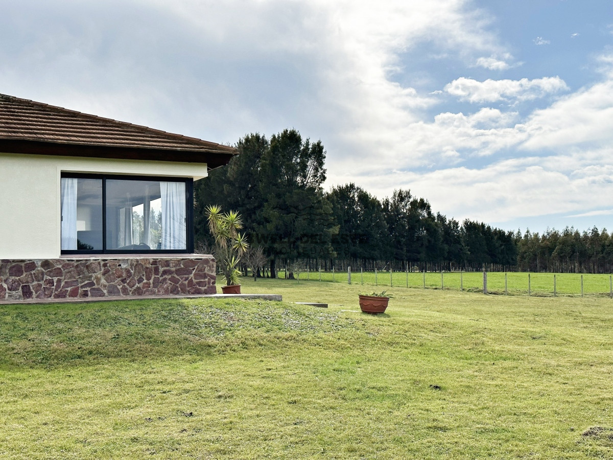 Campo Ref.43 - Olivar sobre la Ruta 8 de Minas