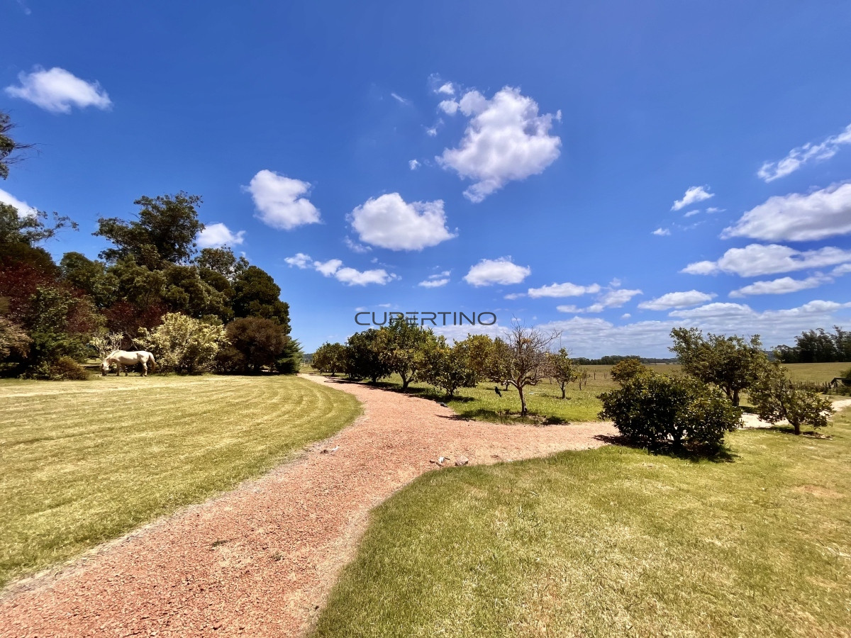 Hermosa chacra a minutos de Punta del Este — foto 80