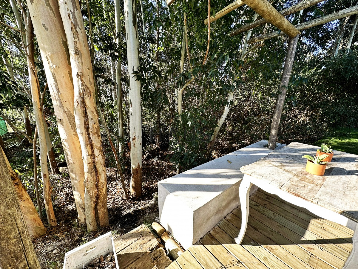 Casa ID.582 - Casa en entorno arbolado para disfrutar todo el año