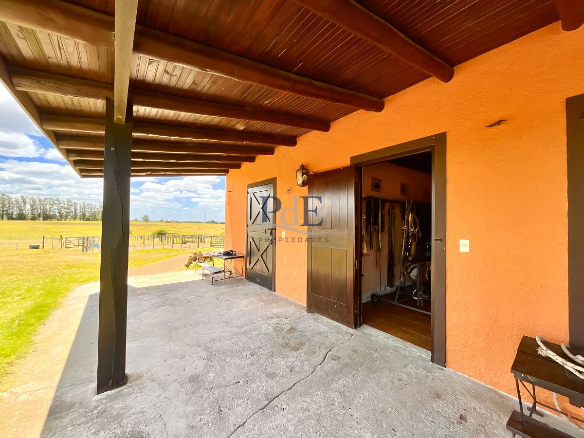 Chacra en Venta. Camino Benito Nardone | 18 Hectáreas - Imagen 67