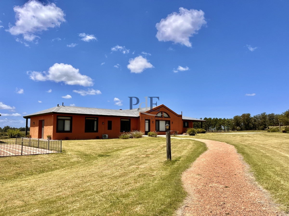 Chacra en Venta. Camino Benito Nardone | 18 Hectáreas - Imagen 42